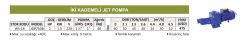 JDP750B İki Kademeli Jet Pompa 2 HP 220 V - Water Sound