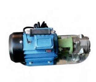 WCB75SSM Dişli Yağlı Transfer Pompaları 1HP 220 V - Water Sound