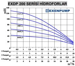 Exen Pompa EXDP 1/604 Tek Pompalı Hidrofor 6 Kat-30 Daire 2 HP