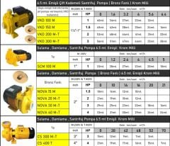 Vortex VKD 150 M Çift Kademeli Santrifüj Pompa 1.5 HP 220 V