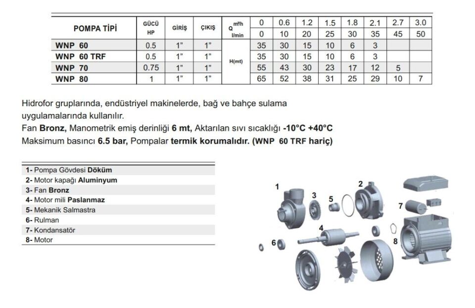 Winpo WNP 70 Periferik Pompa 0.75 HP