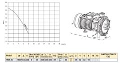 Troy Pompa HMK 30 Çift Kademeli Santrifüj Pompa 2.2 HP 220V