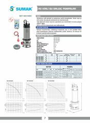 Sumak SDT 40/2 İnox Az Kirli Paslanmaz Drenaj Dalgıç Pompa 4 HP 380V
