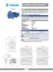 Sumak DSMT300/2 Kendinden Klapeli Santrifüj Pompa 3 HP 380V