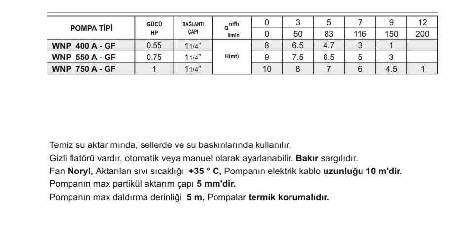 Winpo WNP 550 A - GF Gizli Flatörlü Drenaj Pompa 0.75 HP