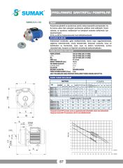 Sumak SMINOX/K-100 304 Paslanmaz Santrifüj Pompa 1 HP 220V