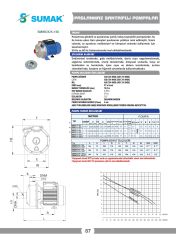 Sumak SMINOX/K-100T 304 Paslanmaz Santrifüj Pompa 1 HP 380V