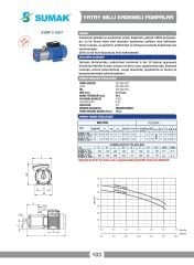 Sumak SYMP 3 100/7 Komple Paslanmaz Yatay Kademeli Pompa 1 HP 220V