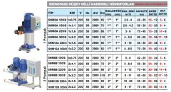 Sumak SHM12B 300/6 İki Pom. Hidrofor 2x3 HP 9 Kat 80 Daire - 220V
