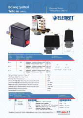 Element ELT 3R 3-11 Basınç Şalteri - Rekorlu - 1/4''