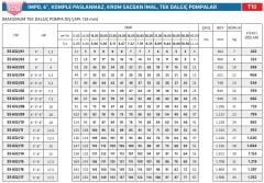 İmpo SS 632/21- 6'' Paslanmaz Tek Dalgıç Pompa 237 Mss - 25 HP