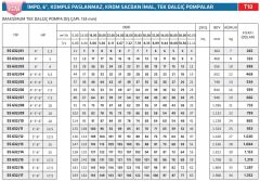 İmpo SS 632/18- 6'' Paslanmaz Tek Dalgıç Pompa 204 Mss - 20 HP