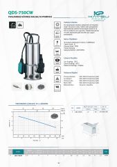 Kaysu QDS-750CW  Paslanmaz Gövdeli Dalgıç Su Pompası