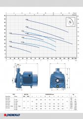 Pedrollo CPm 190 T Tek Kademeli Pompa 2 HP 380 V